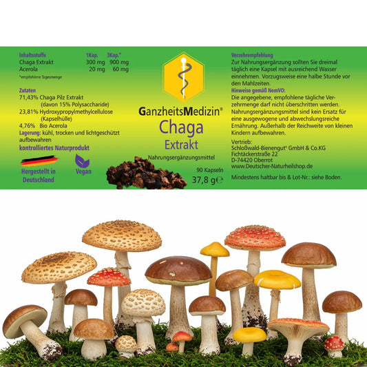 GM Chaga Pilz Extrakt