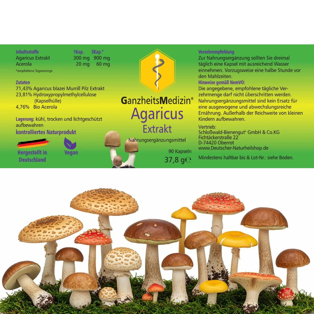 GM Agaricus (Mandelpilz) Pilz Extrakt