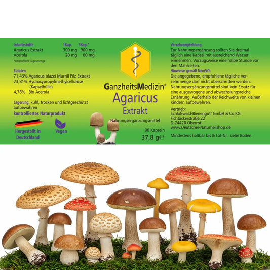 GM Agaricus (Mandelpilz) Pilz Extrakt