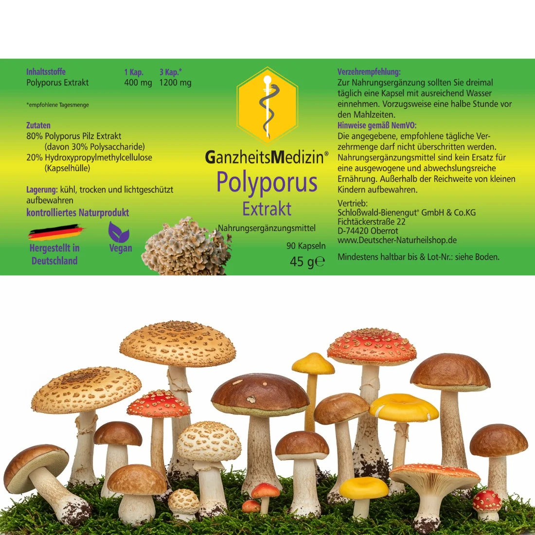 GM Polyporus (Eichhase) Pilz Extrakt