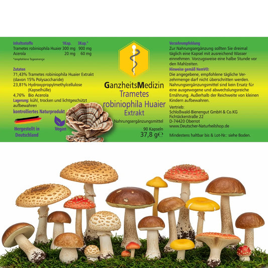 GM Trametes Huaier Pilz Extrakt