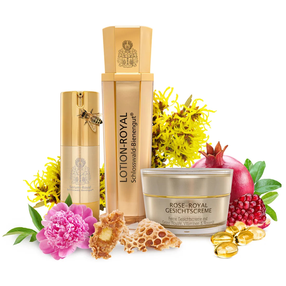 Spar-Set: Jung + Schön, 3-teilig