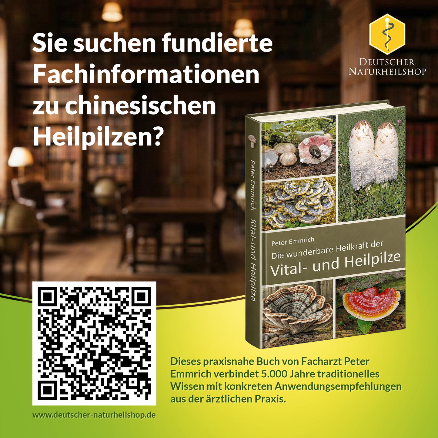 GM Trametes Huaier Pilz Extrakt