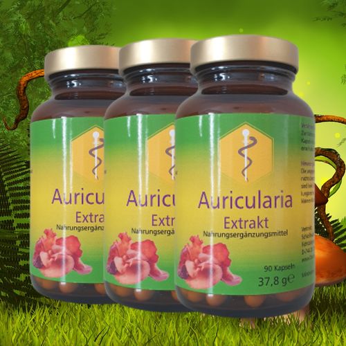 3 x GM Auricularia Pilz Extrakt (auricularia-judae L.) je 90 Kapseln