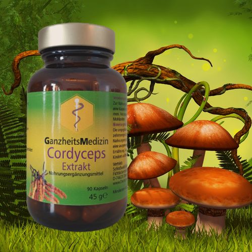 GM Cordyceps Extrakt (Cordyceps sinensis) 90 Kapseln