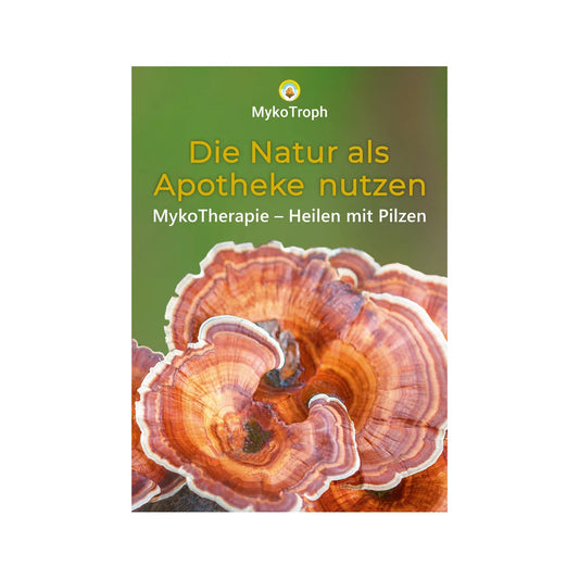 Buch: "Das große Handbuch der Mykotherapie Heilen mit Pilzen"