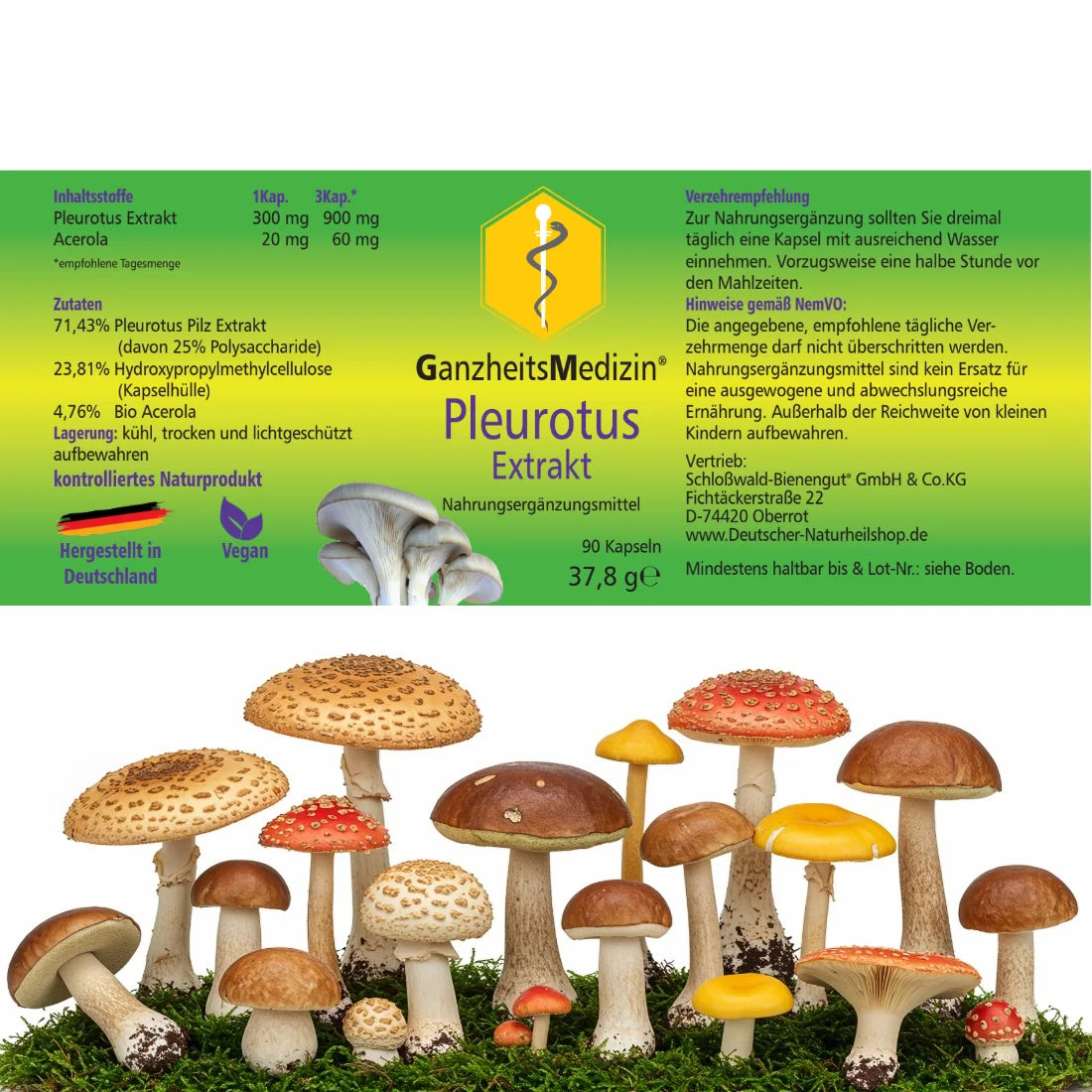 GM Pleurotus Pilz (Austernpilz) Extrakt