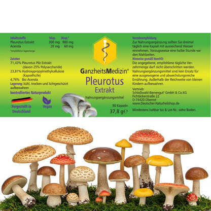 GM Pleurotus Pilz (Austernpilz) Extrakt