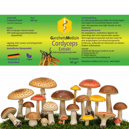 GM Cordyceps Pilz Extrakt