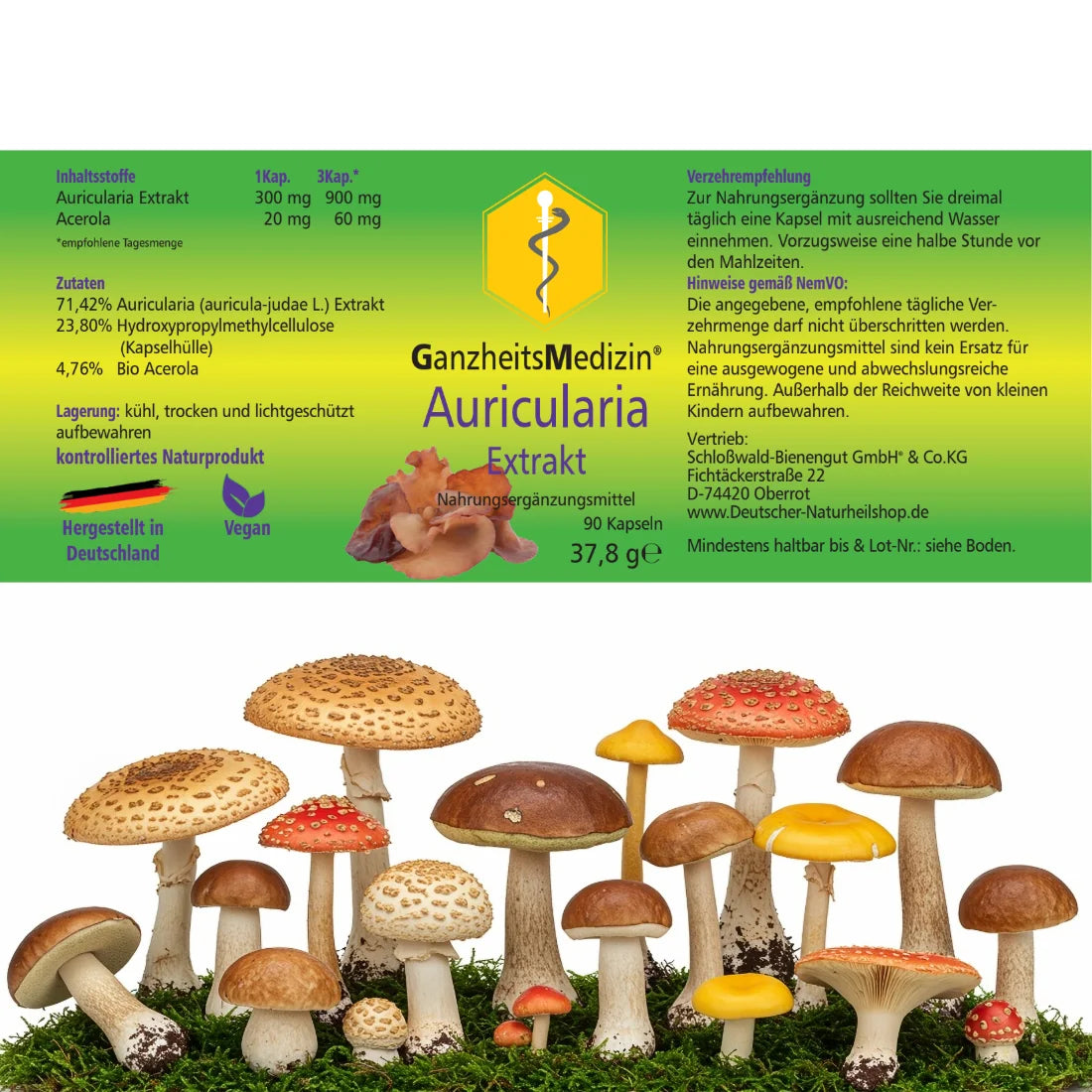 GM Auricularia Pilz Extrakt