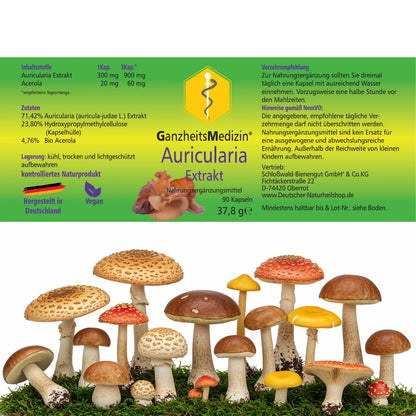 GM Auricularia Pilz Extrakt