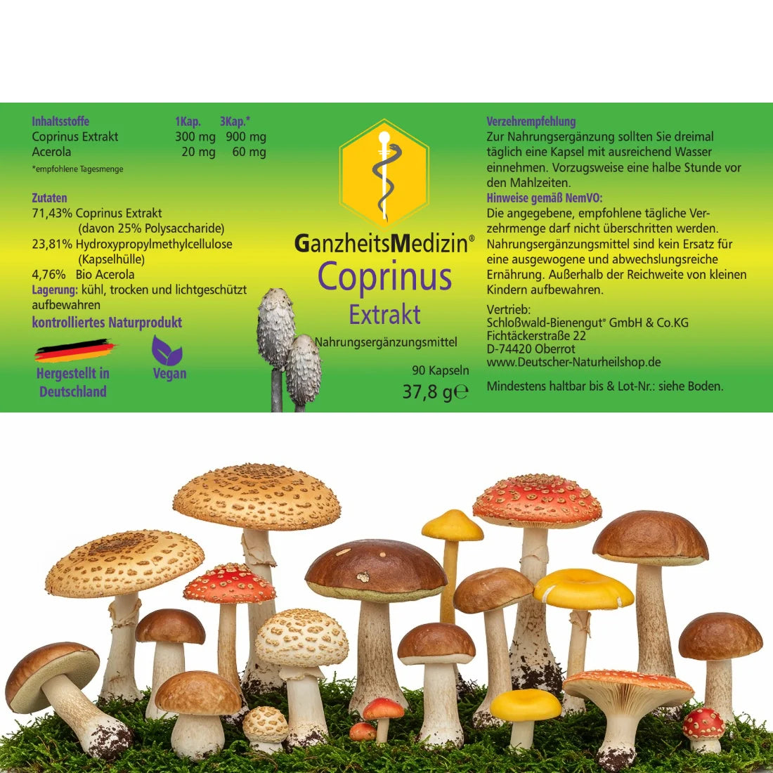 GM Coprinus (Schopftintling) Pilz Extrakt