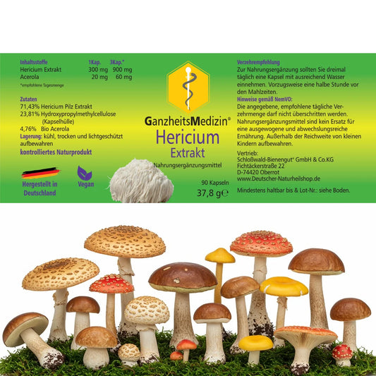 GM Hericum (Igelstachelbart) Extrakt