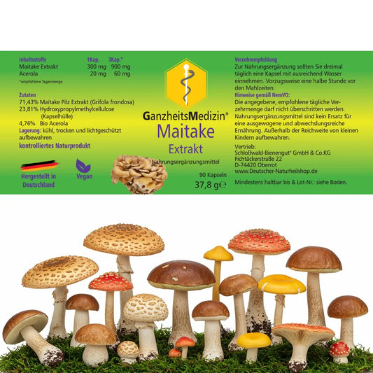 GM Maitake (Klapperschwamm) Pilz Extrakt