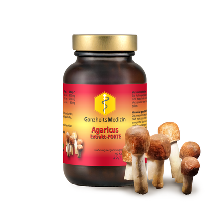 GM Agaricus (Mandelpilz) Pilz Extrakt FORTE