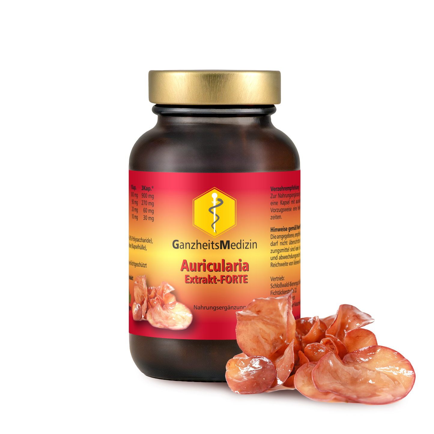 GM Auricularia Pilz Extrakt FORTE