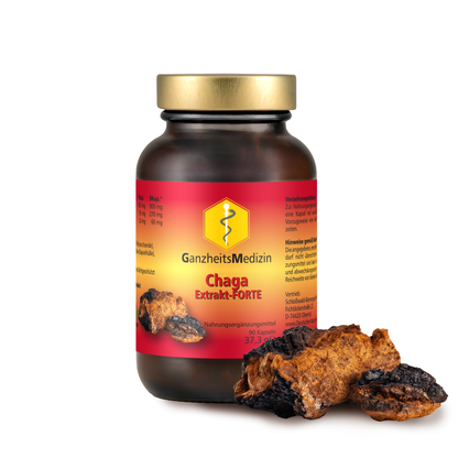 GM Chaga Pilz Extrakt FORTE