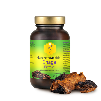 GM Chaga Pilz Extrakt