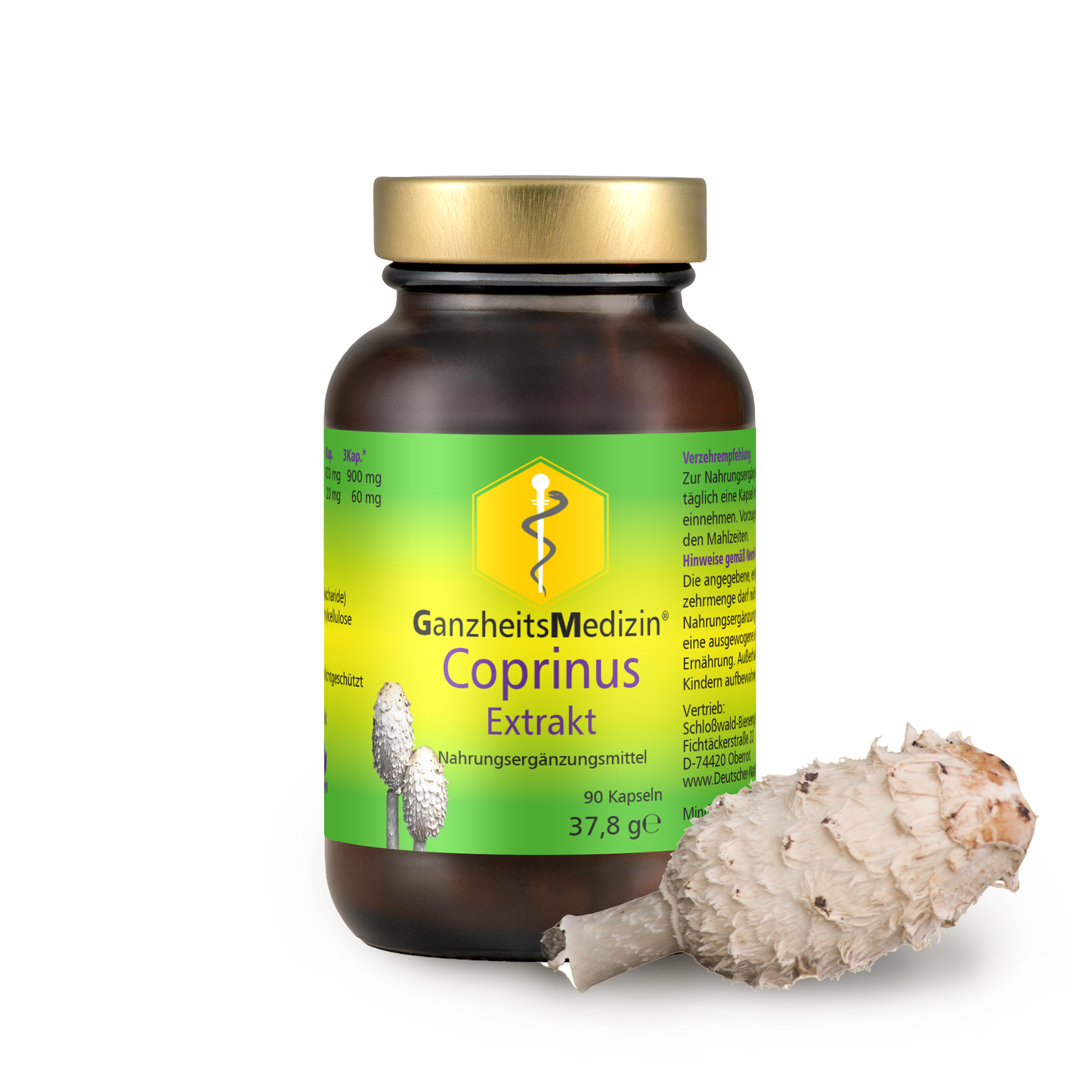 GM Coprinus (Schopftintling) Pilz Extrakt