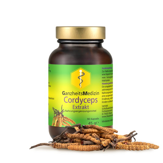 GM Cordyceps Pilz Extrakt