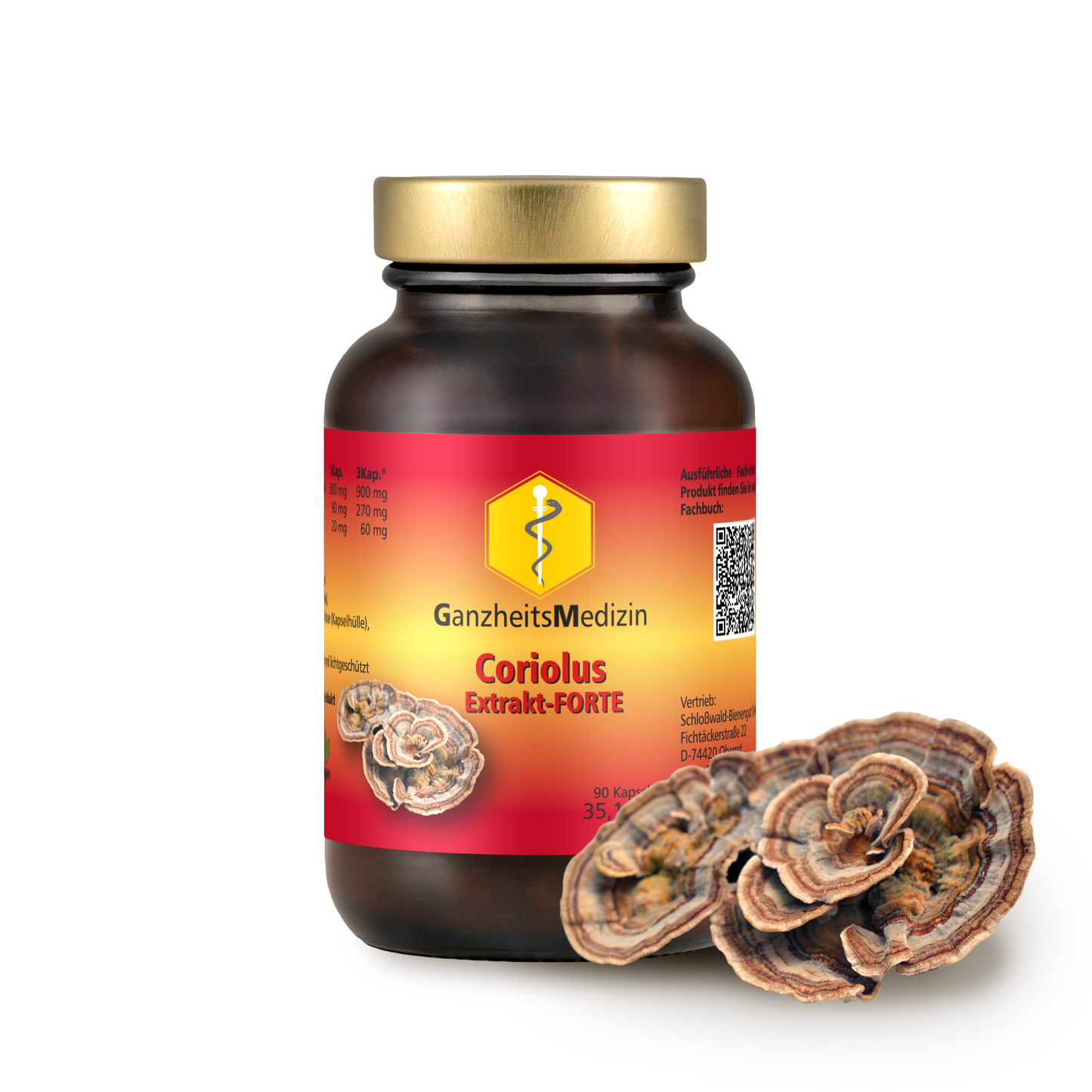 GM Coriolus Pilz Extrakt FORTE