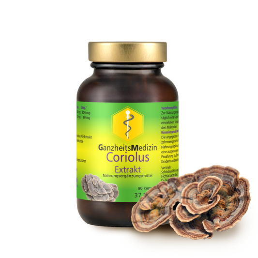 GM Coriolus Pilz Extrakt