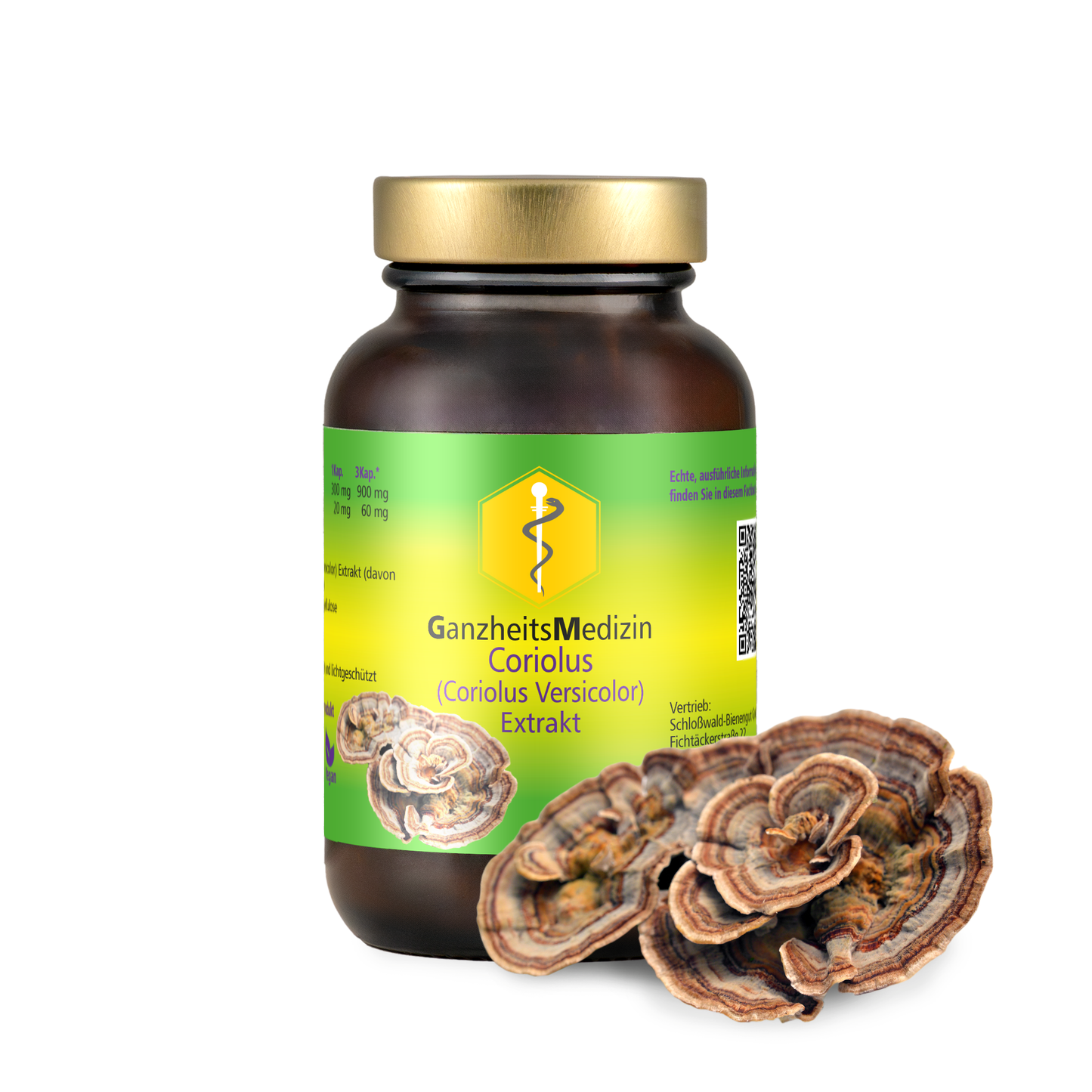 GM Coriolus Pilz Extrakt
