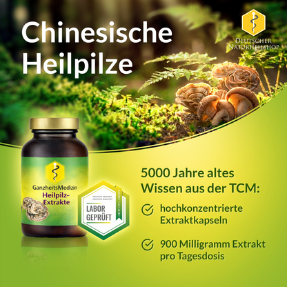GM Trametes Huaier Pilz Extrakt
