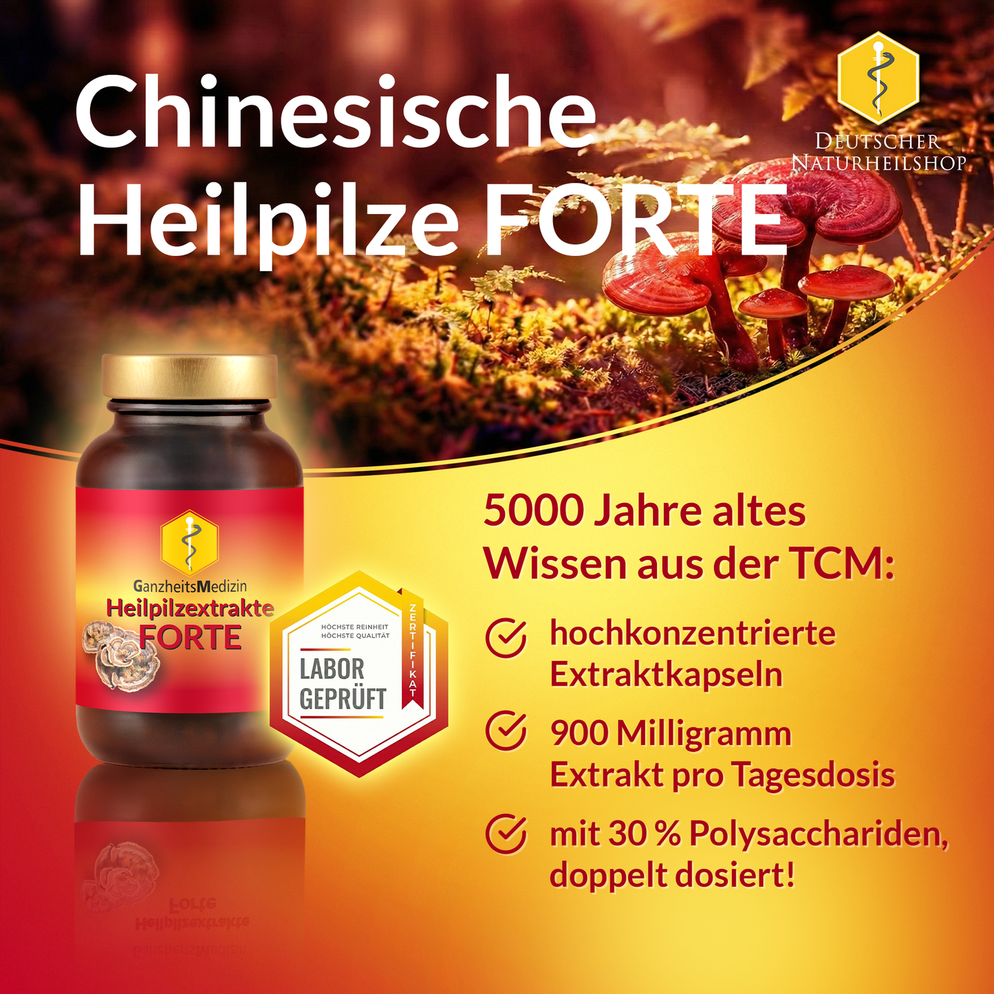 GM Reishi Pilz Extrakt FORTE