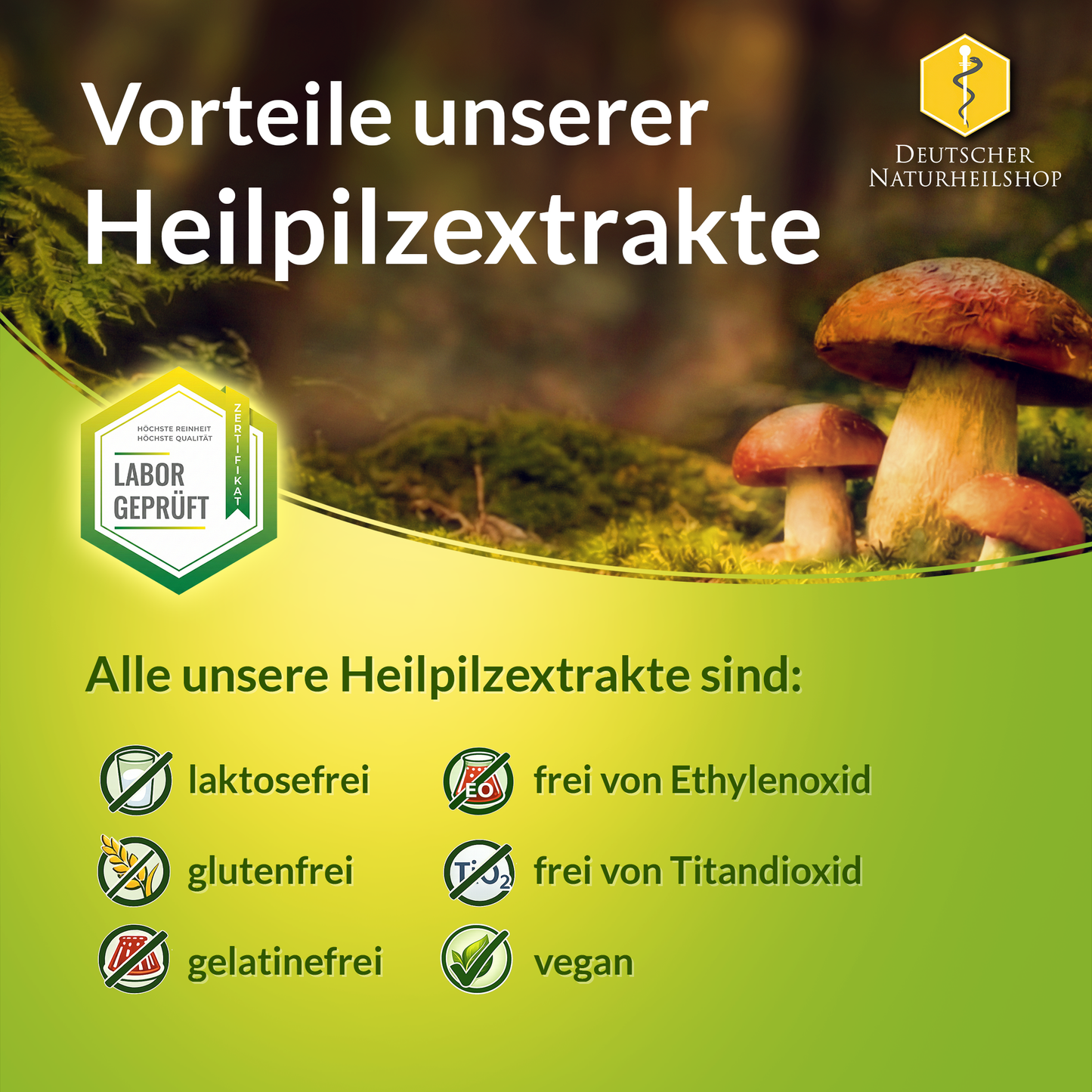 GM Trametes Huaier Pilz Extrakt
