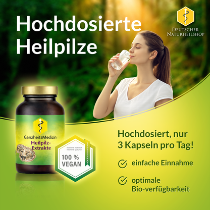 GM Trametes Huaier Pilz Extrakt