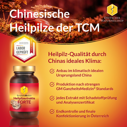GM Reishi Pilz Extrakt FORTE