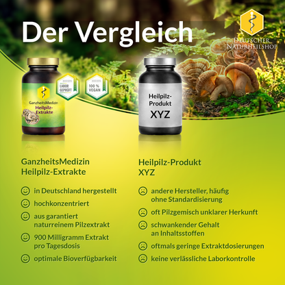 GM Trametes Huaier Pilz Extrakt