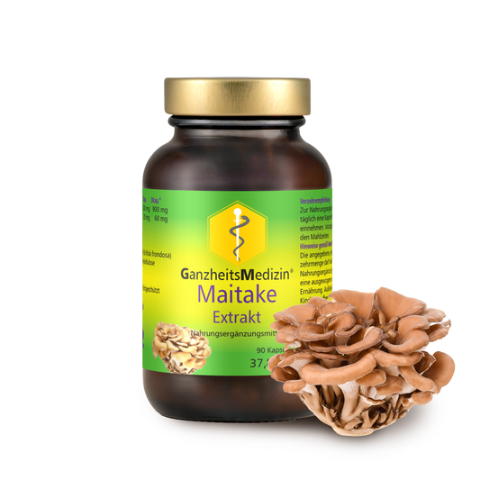 GM Maitake (Klapperschwamm) Pilz Extrakt