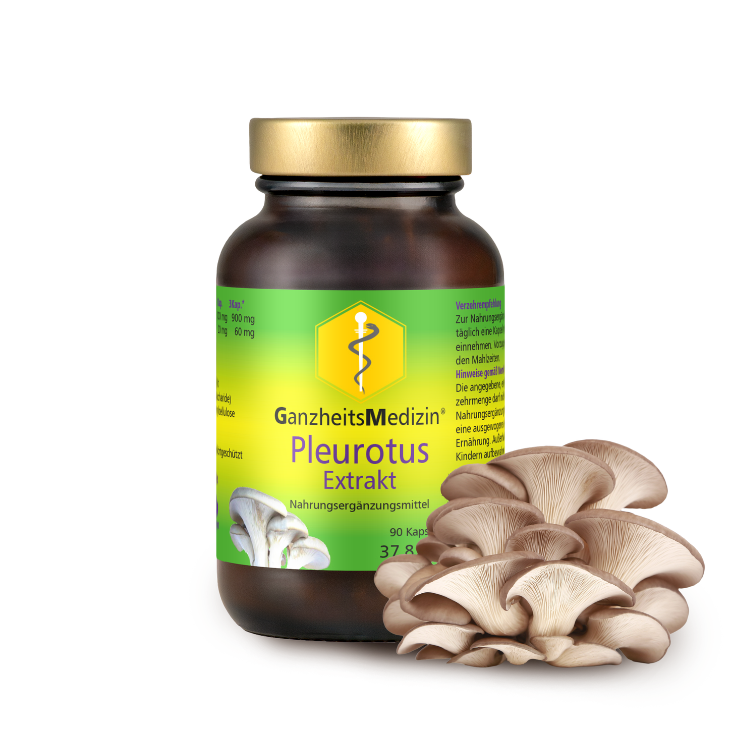 GM Pleurotus Pilz (Austernpilz) Extrakt