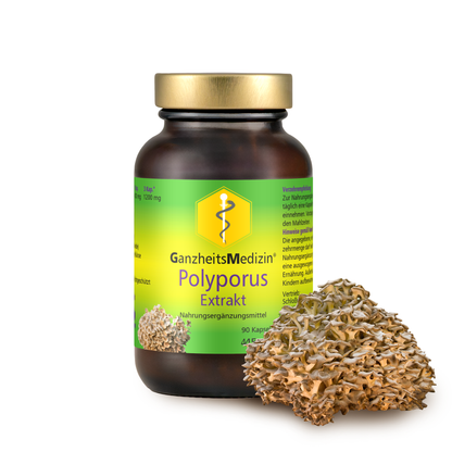 GM Polyporus (Eichhase) Pilz Extrakt