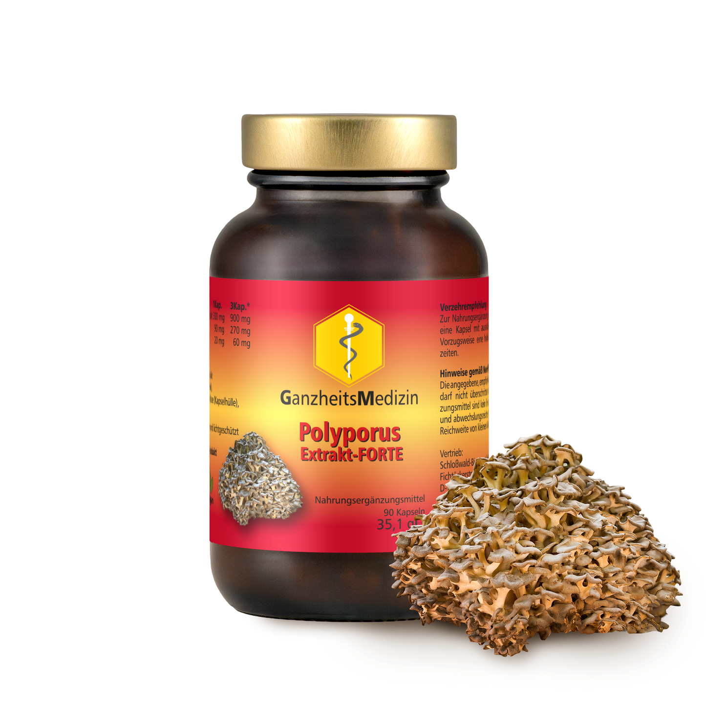 GM Polyporus (Eichhase) Pilz Extrakt FORTE