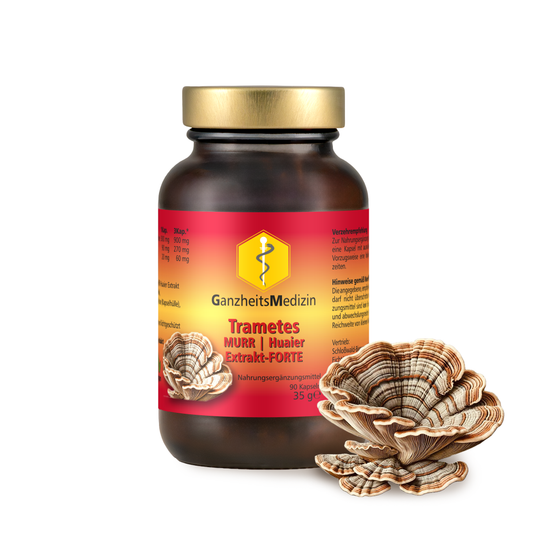 GM Trametes Pilz Extrakt FORTE