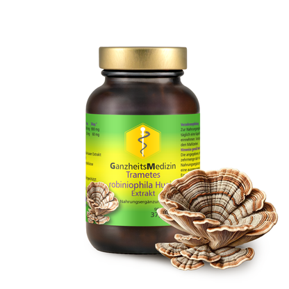 GM Trametes Huaier Pilz Extrakt