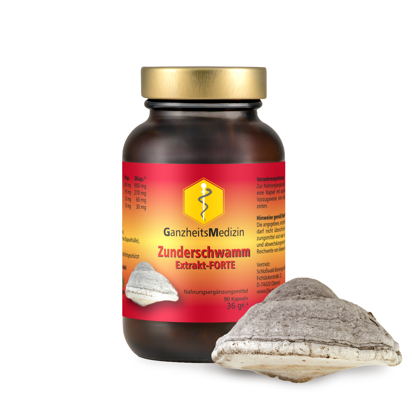 GM Zunderschwamm Pilz Extrakt FORTE